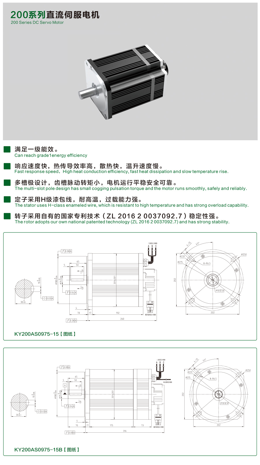 200系列0975-15伺服電機.jpg