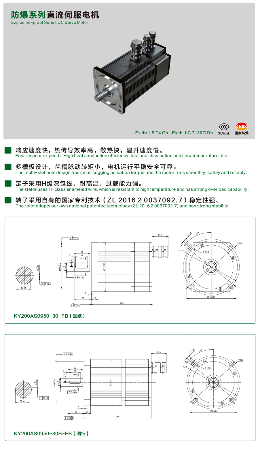 200防爆0950-30伺服電機.jpg